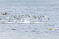110918_TVJ_0438
