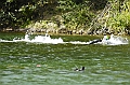 110918_TVJ_0441