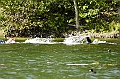 110918_TVJ_0442
