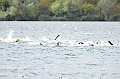 110918_TVJ_0443