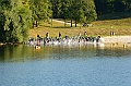 120916_TVJ_0057