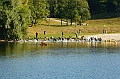 120916_TVJ_0067