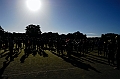 130915_TVJ_0040