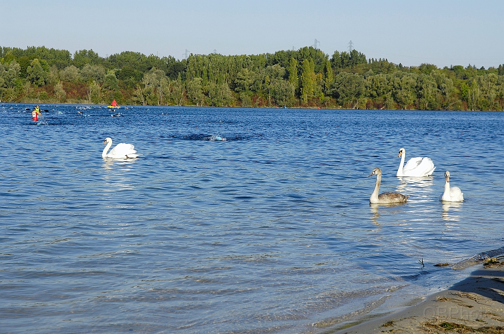 150927_CTAJ_0259.JPG