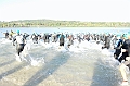 150927_CTAJ_0134