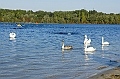 150927_CTAJ_0260